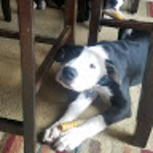 Meet your Posher, Kìmbêrly